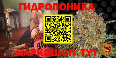 прущий лед Краснознаменск