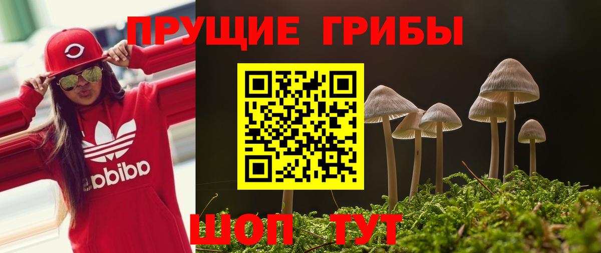 Псилоцибиновые грибы Cubensis  Галлюциногенные грибы Magic Shrooms  Черкесск  Вход с VPN 